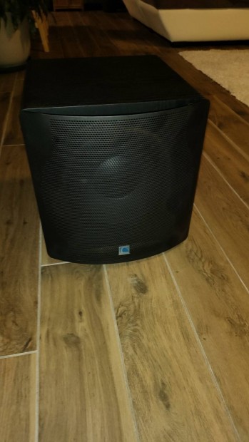 SVS NSD 12 Subwoofer.