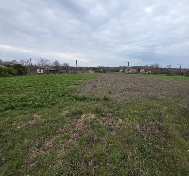 SZAB�LYOS T�GLALAP ALAK� Z�RTKERTI TELEK G�RDONYBAN!