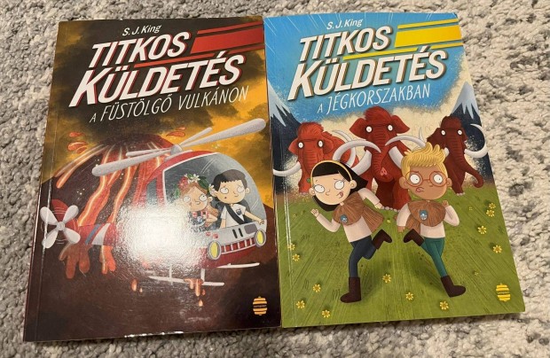 S. J. King: Titkos kldets