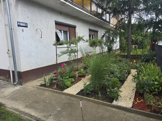 S�gv�ri Kertv�rosi F�ldszinti T�rsash�z Elad�!