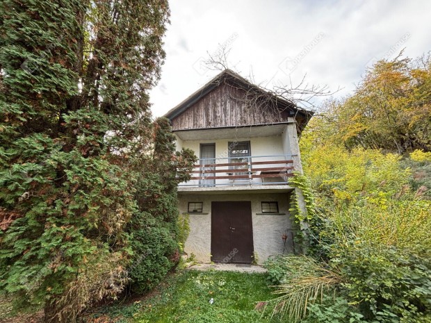 Saj�t kis borospince �s nyaral� egy helyen  Egerv�r mellett!