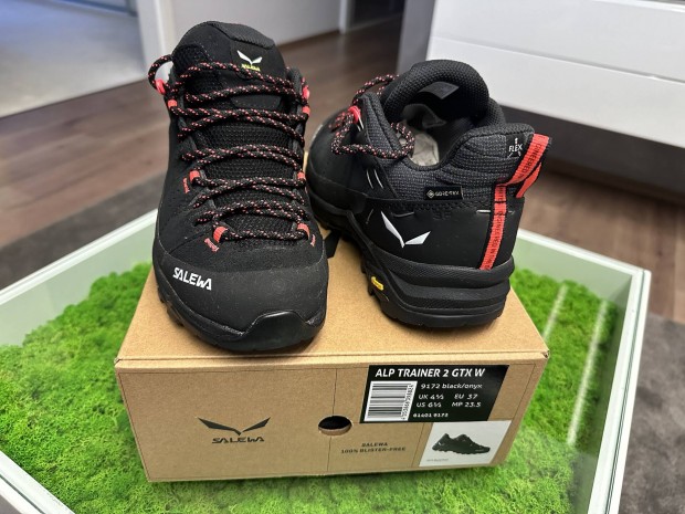 Salewa Alp Trainer 2 Gtx