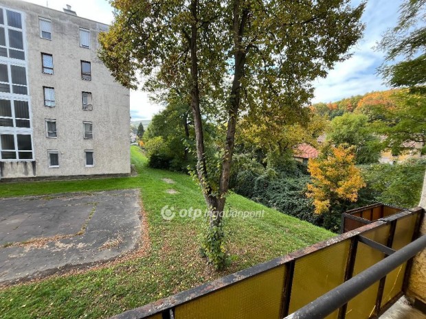 Salg�tarj�ni elad� 55 nm-es lak�s