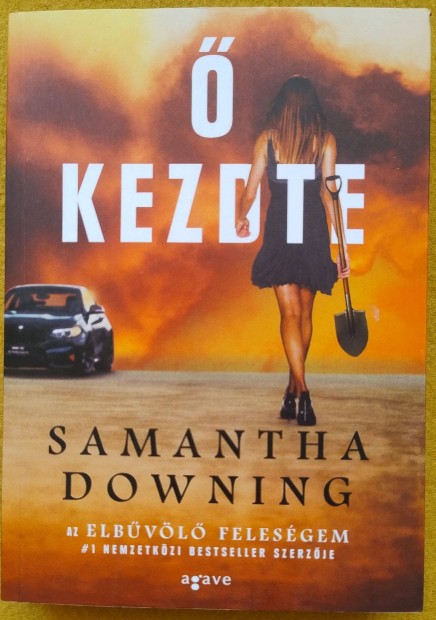 Samantha Downing:  kezdte