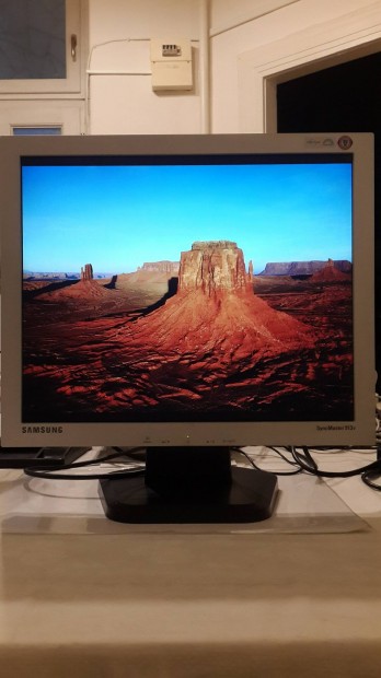 Samsung 19" Monitor kbellel