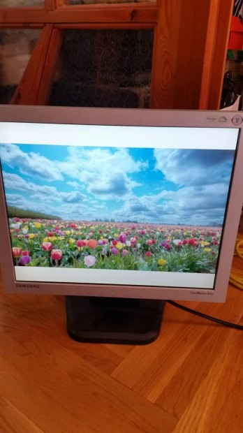 Samsung 19" monitor 