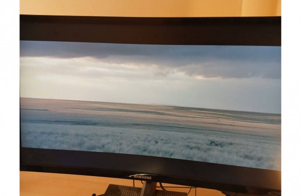 Samsung 24 velt Monitor | 1920 x 1080 | Hdmi | LC24F396Fhuxen