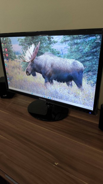 Samsung 24" full HD monitor