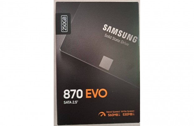 Samsung 2.5 870 Evo 250GB SATA3