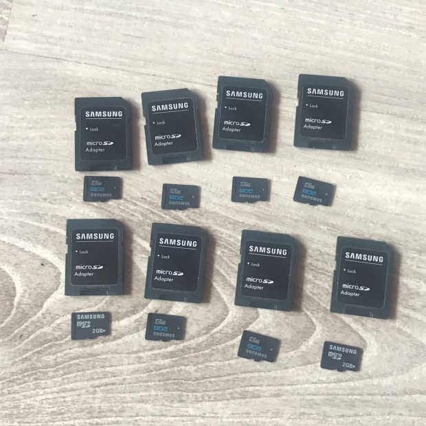 Samsung 2 GB Micro SD krtyk