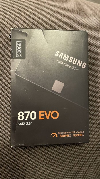 Samsung 870 Evo 500 GB 2,5 SSD