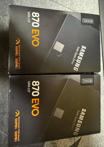 Samsung 870 Evo SATA (250 / 500 GB)