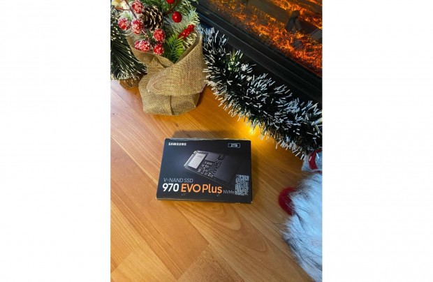 Samsung 970 Evo Plus 2TB (MZ-V7S2T0BW)