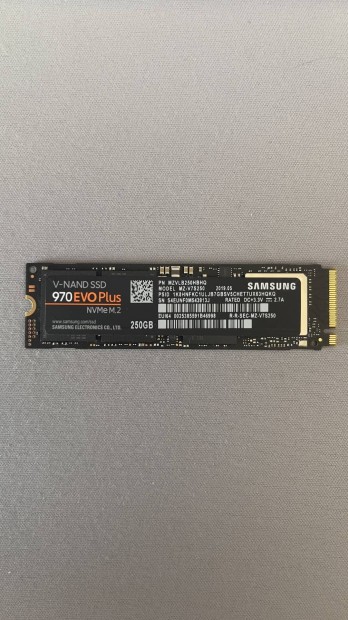 Samsung 970 Evo Plus Nvme M.2 SSD 250GB