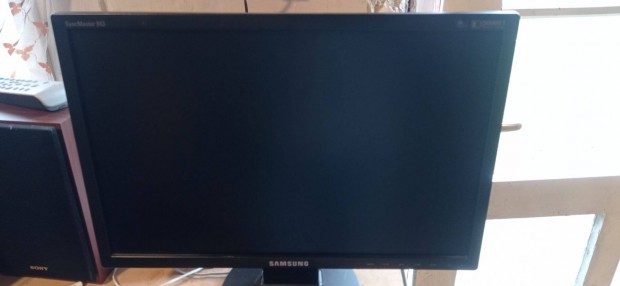 Samsung E1920 19 " LCD monitor