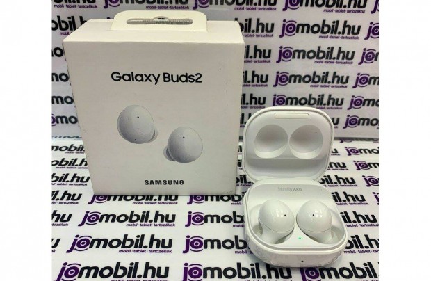 Samsung Galaxy Buds2 SM-R177Nzw fllhalgat