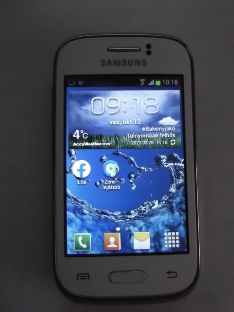 Samsung Galaxy Young GT-S6310N elad