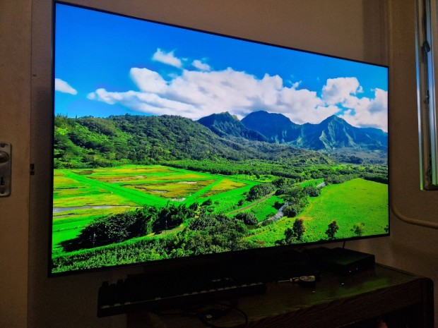 Samsung Q80AA 55 TV