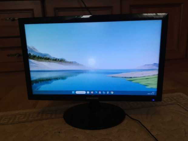 Samsung S19D300NY Monitor