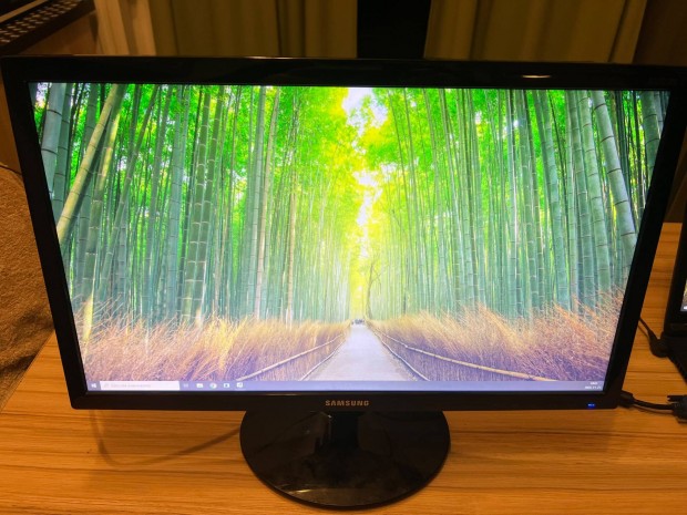 Samsung S22D300 22" monitor