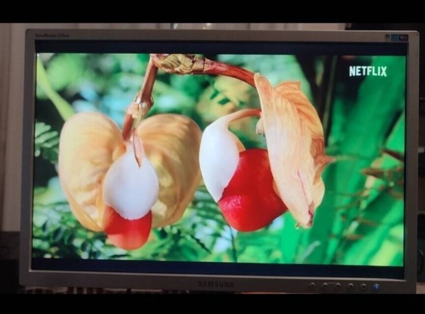 Samsung Syncmaster 225BW 22" monitor