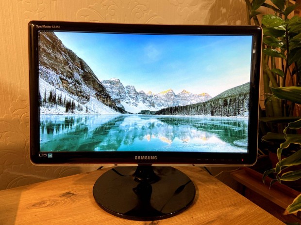 Samsung Syncmastersa350 monitor