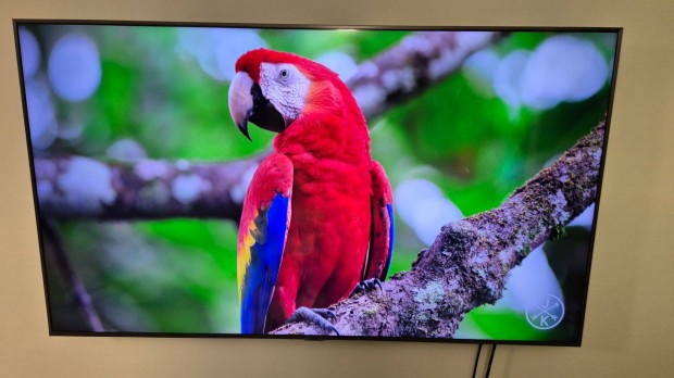 Samsung TV 139 cm 4K