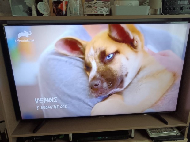 Samsung Tv, full hd led smart, 55", 139 cm