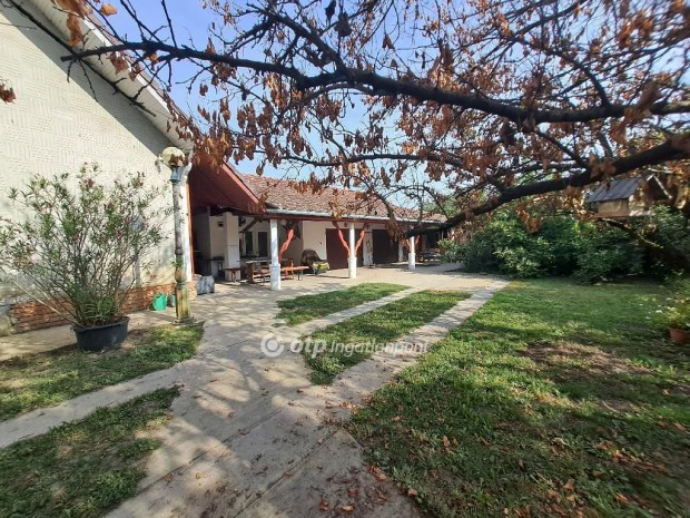 S�ndorfalvai elad� 135 nm-es h�z