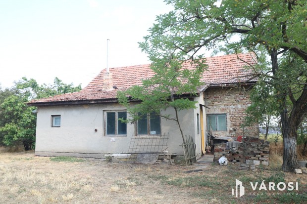 S�ndorfalvi �ton l�v� tanya, k�zel 100 000 nm-en.