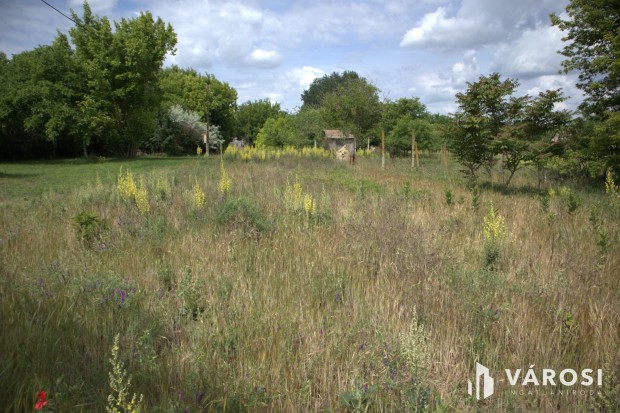 S�ndorfalvi z�rt kert