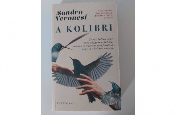 Sandro Veronesi: A kolibri