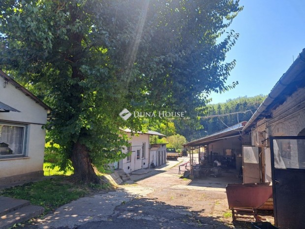 S�ntosi elad� 100 nm-es h�z