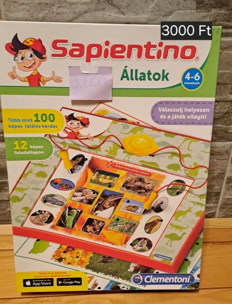 Sapientino trsasjtk