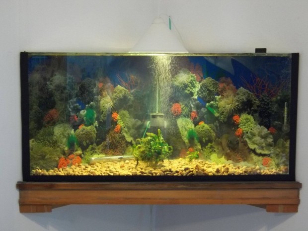 Sarok terrárium 140 literes, 75 cmx75 cmx106 cmx50 cm magas, használt