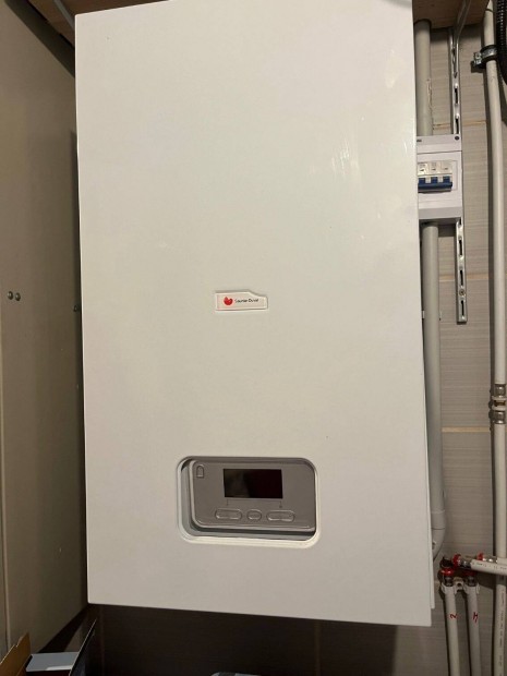 Saunier Duval Renova Electric 9kw elektromos kazn