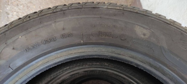 Sava eskimo Hp2 205/60 R16 96h tligumi