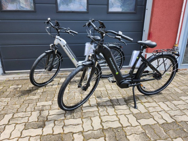 Saxonette Quantum plus E-bike