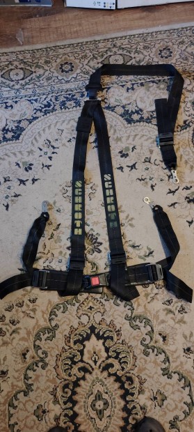 Schroth rally v elad 