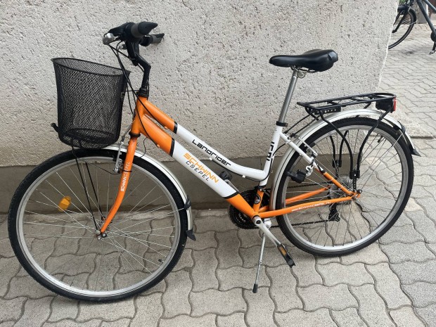 Schwinn Landrider Trekking