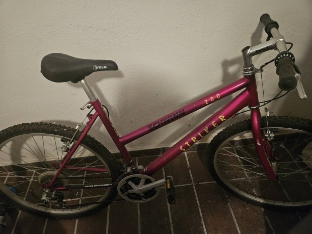 Schwinn Striker mountain bike