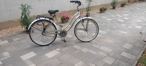 Schwinn  Csepel Cruiser 