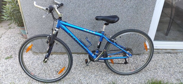 Schwinn mountainbike