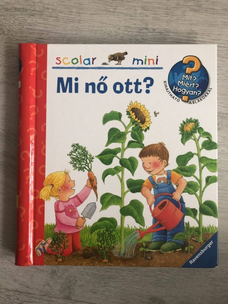 Scolar Mini - Mit? Mirt? Hogyan? - Mi n ott? (17. ktet)