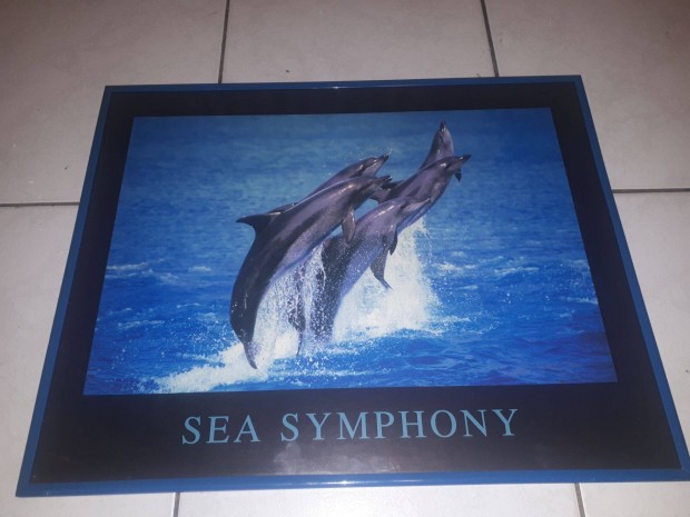 Sea symphony fali kp - 50x40 cm