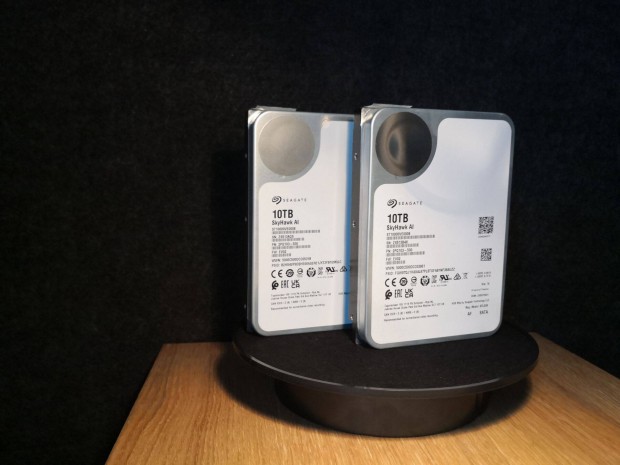 Seagate Skyhawk AI 10TB