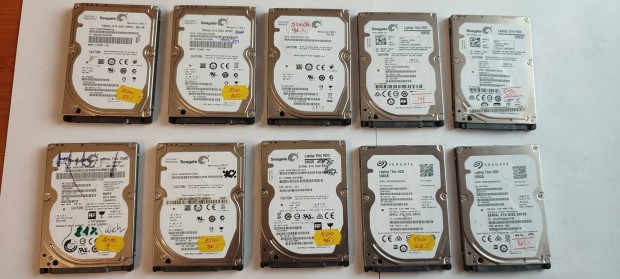 Seagate  500GB Sata merevlemez (Hibs) csomag 