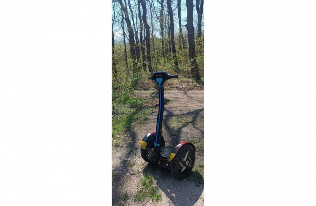 Segway Ecodrift SX1