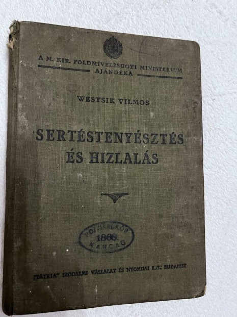 Sertstenyszts s Hizlals