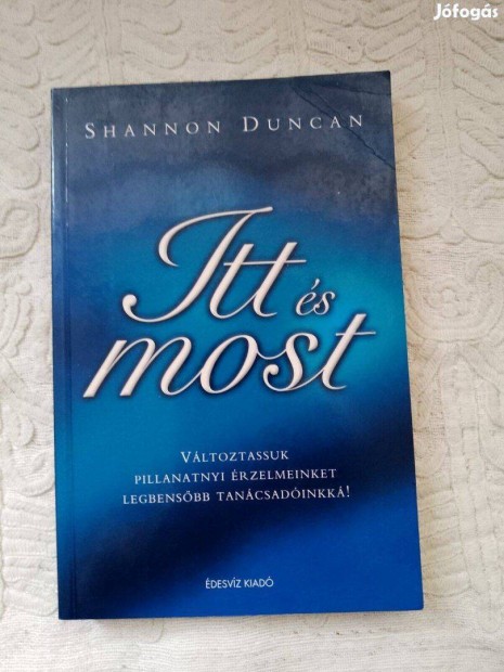 Shannon Duncan Itt s most / knyv desvz Kiad 2005